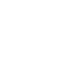 logo-susa-wit