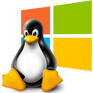 Linux of Windows, alles kan!