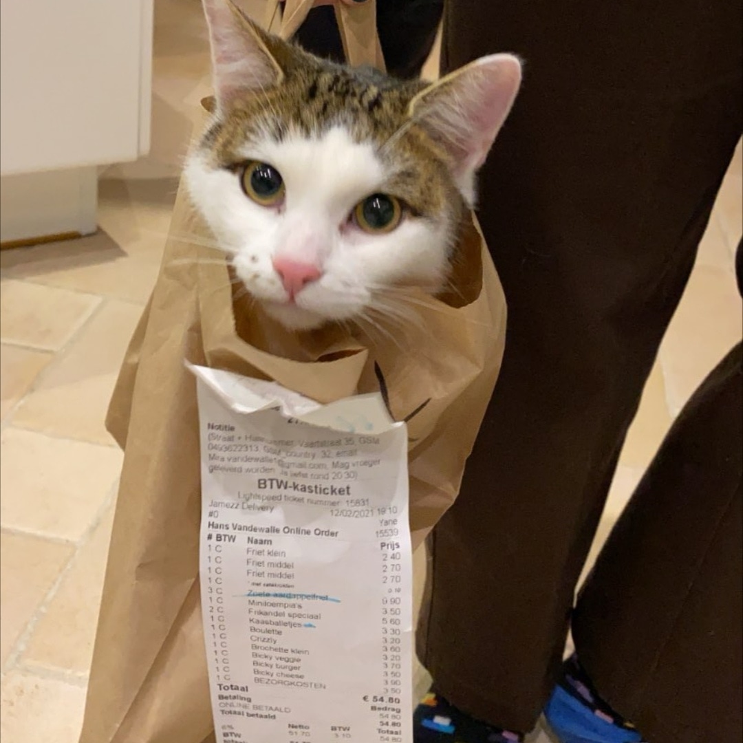 Een kat in de zak kopen
