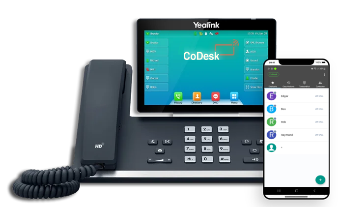 CoDesk VOIP Telefonie